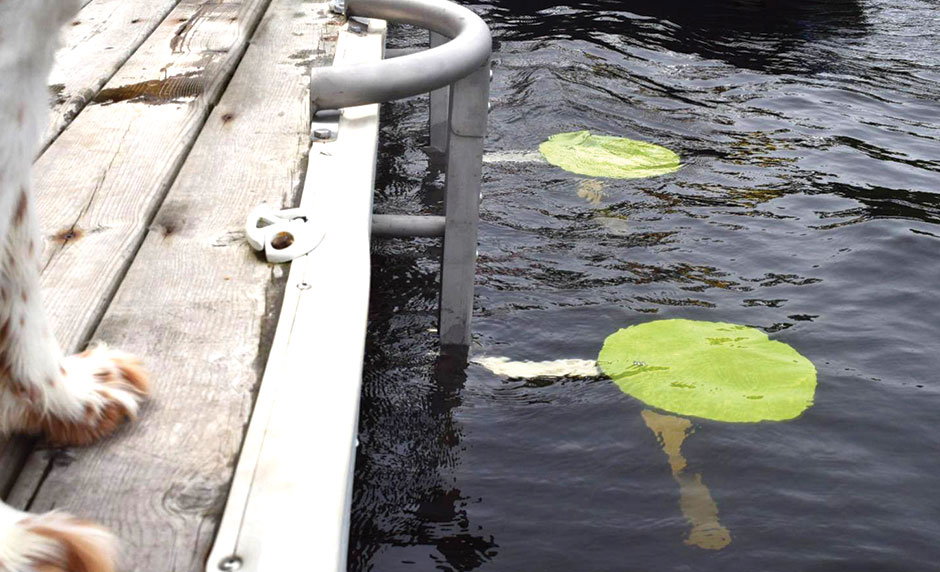Dock Stools in water